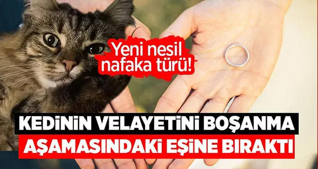 Yeni Nesil Nafaka Türü