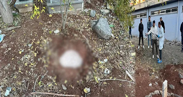 Siverek’te Mezarlıkta Bebek Cesedi Bulundu
