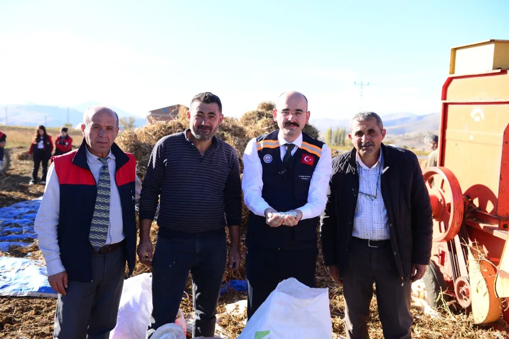 Doğanşehir’de Kuru Fasulye Hasadı Bereketli Başladı