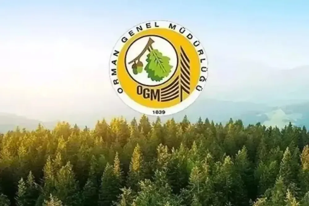 Orman Genel Müdürlüğü 252 Daimi İşçi Alacak