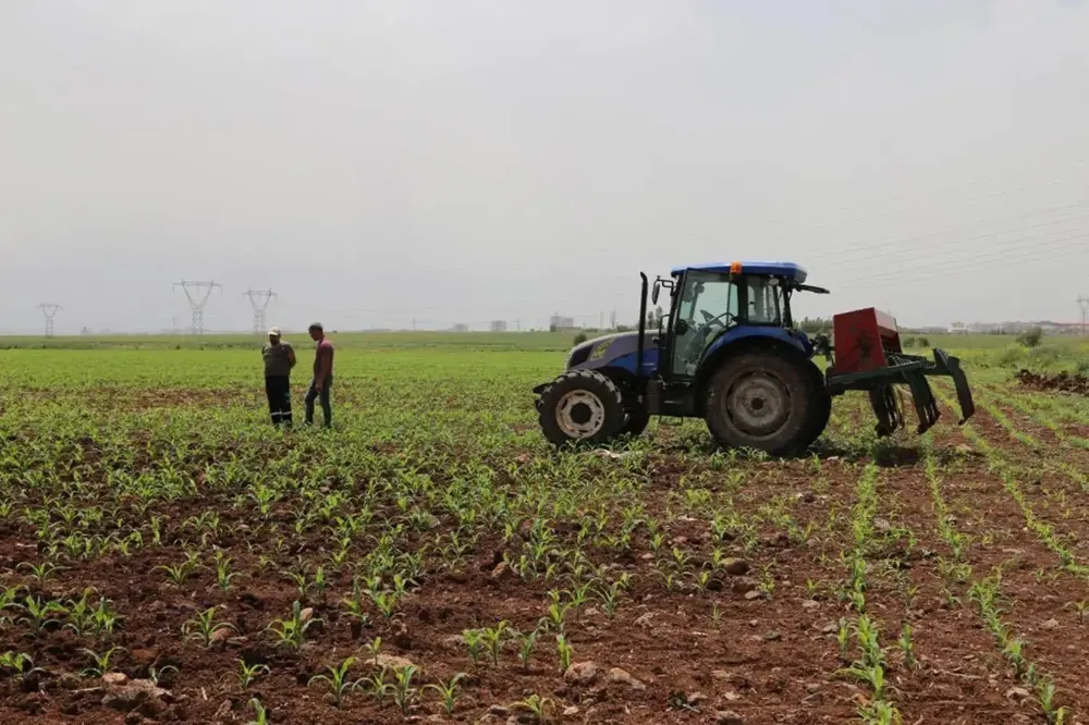 Çiftçilere 8,3 Milyar TL Destek Ödemesi Yapılacak