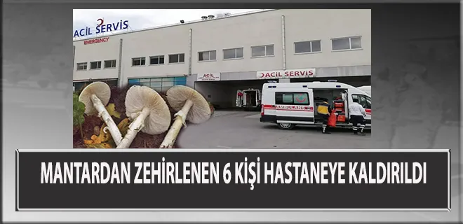  Mantardan Zehirlenen 6 Kişi Hastaneye Kaldırıldı