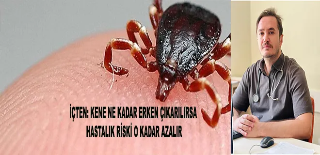 İçten: Kene Ne Kadar Erken Çıkarılırsa Hastalık Riski O Kadar Azalır