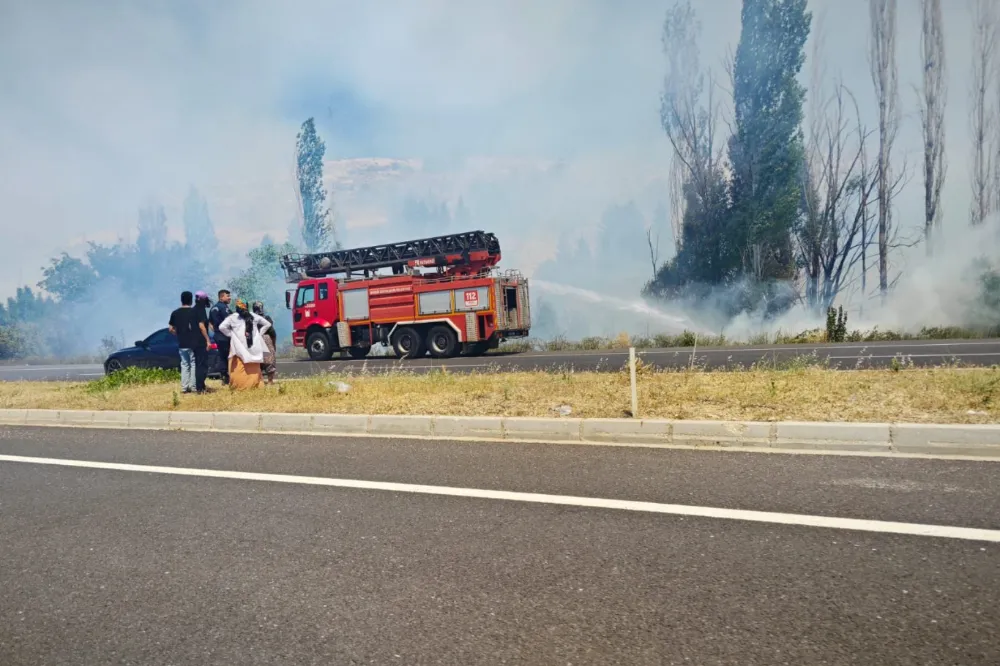 Mardin’de Ormanlık Alanda Yangın