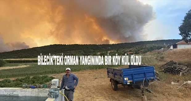 Bilecik’teki Orman Yangınında Bir Köy Kül Oldu