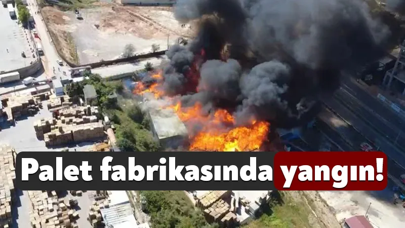 Palet Fabrikası Alev Alev Yanıyor
