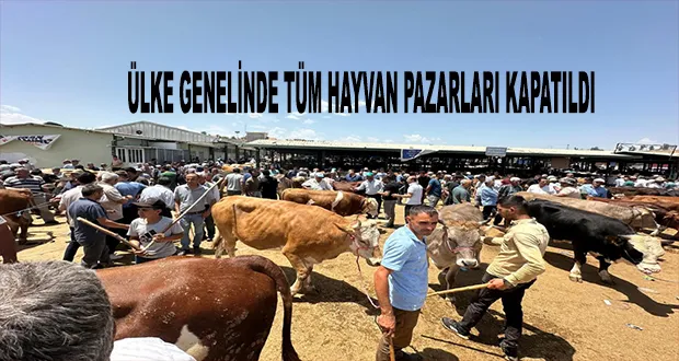 Ülke Genelinde Tüm Hayvan Pazarları Kapatıldı
