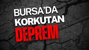Bursa