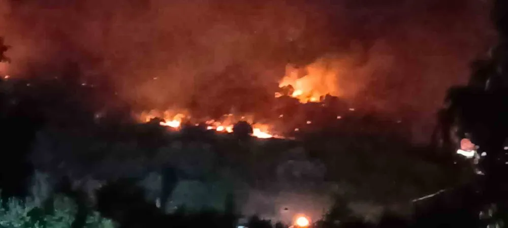 Dikili’de Orman Yangını: Çanakkale Yolu Ulaşıma Kapatıldı