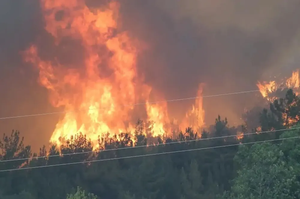 Tarım Ve Orman Bakanlığından Yangın Bölgesindeki Yaralı Yaban Hayvanlarına İlk Yardım Uyarısı