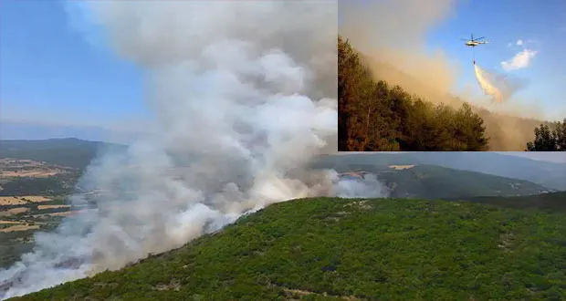 Mersin Silifke’de Orman Yangını: Havadan Ve Karadan Müdahale Ediliyor