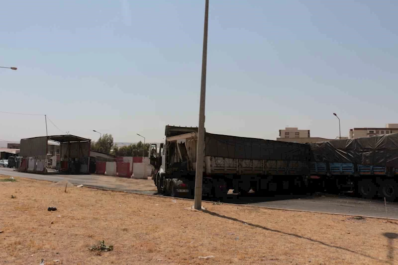 Kardeşleri hayattan koparan kaza
