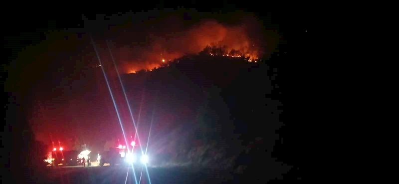Malatya’daki orman yangını sürüyor
