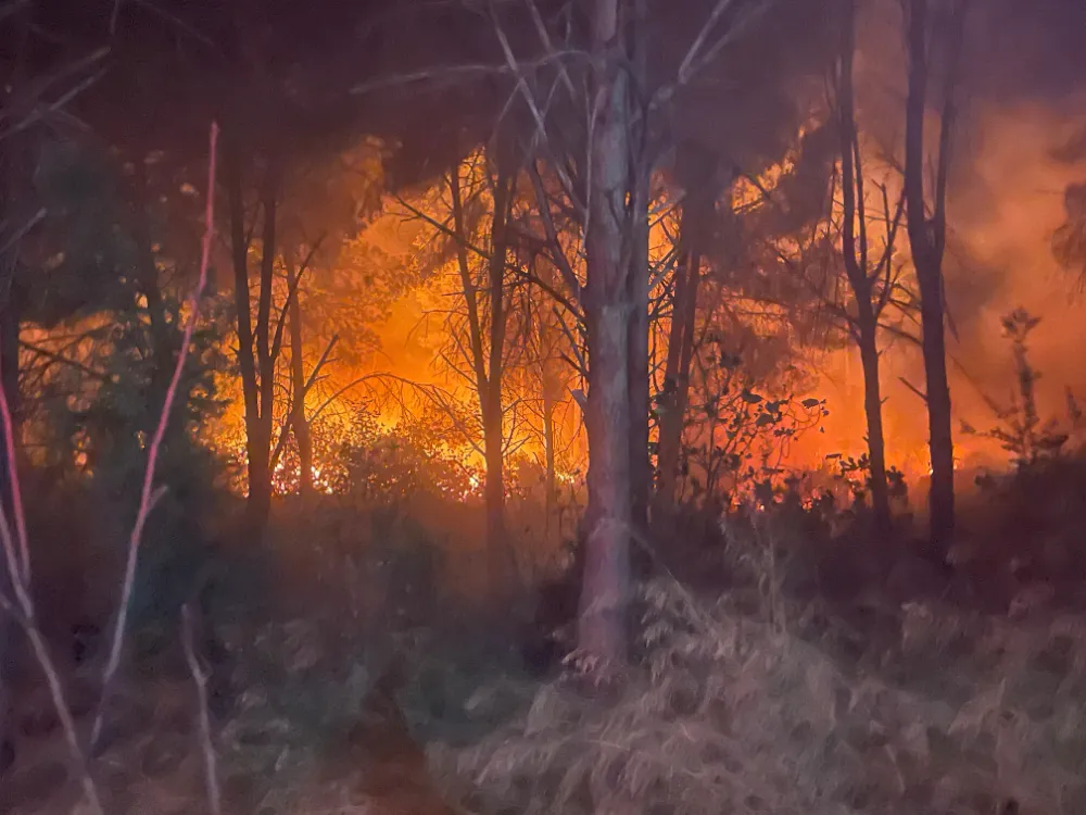 Antalya Aksu’da ormanlık alanda yangın